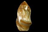 Polished, Brown Calcite Flame - Madagascar #149633-1